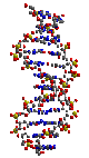 GENOME